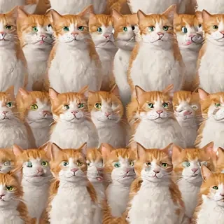 cat cartoon