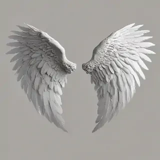 png angel wings