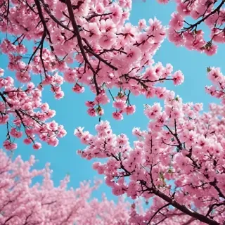 springtime iphone wallpaper