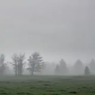 foggy background