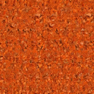pretty orange backgrounds