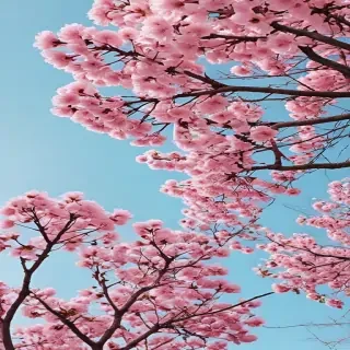 spring desktop wallpaper aesthetic