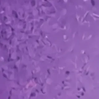 purple iphone wallpaper aesthetic
