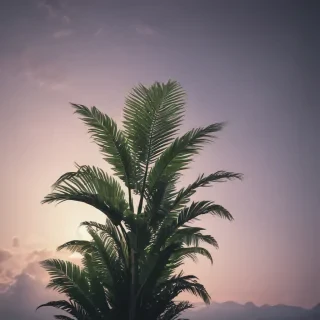 minimal wallpaper iphone 4k
