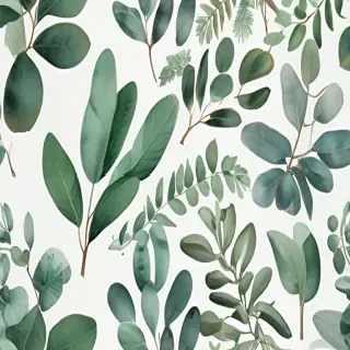 transparent eucalyptus clipart