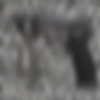crime png
