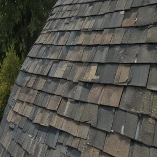 pictures of shingles