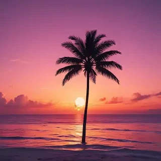 sunset aesthetic wallpaper