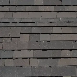 pictures of shingles