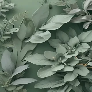 sage green aesthetic background