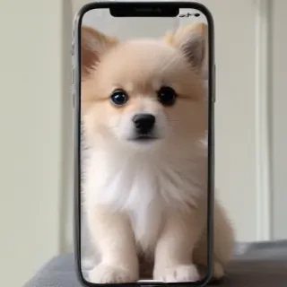 cute aesthetic wallpapers for iphone
