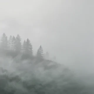fog transparent background