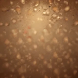 plain brown background