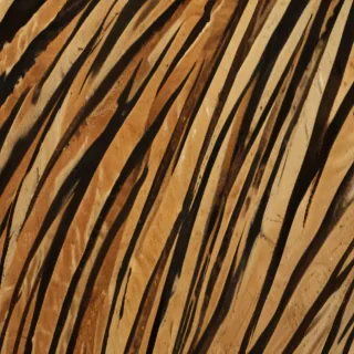tiger stripes png