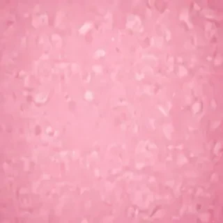 background pink cute