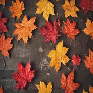 fall wallpaper for iphone