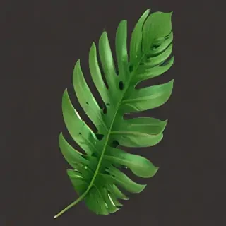 tropical leaf png