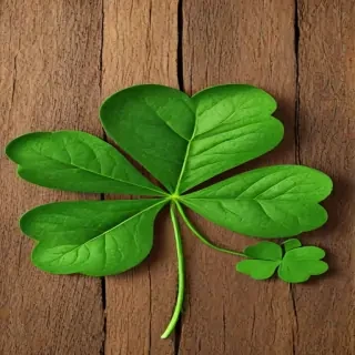 shamrock clipart