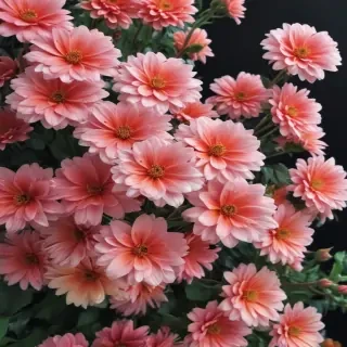 flower background iphone