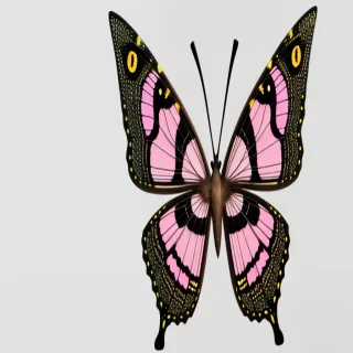 mariposas png