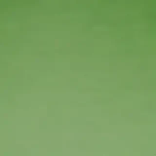 green background plain