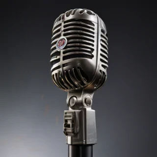 microphone .png