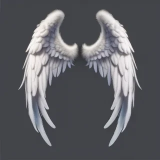 png angel wings