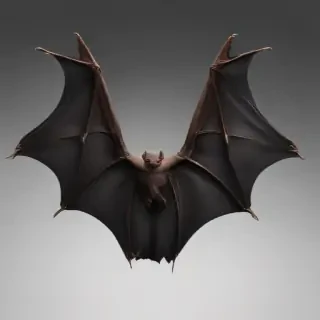 bat wings png