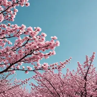 aesthetic spring wallpaper