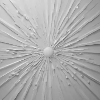 white gray background