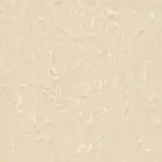cream iphone wallpaper