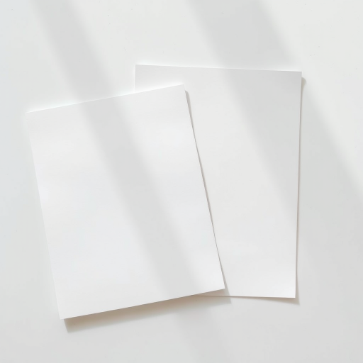 Create a high-resolution image of two overlapping blank documents on a clean surface, captured with a DSLR camera at f/4 aperture, 50mm lens, ISO 100, natural light, top-down view, with a soft focus on the edges to enhance depth.