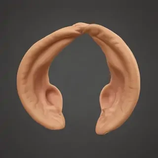 ears png
