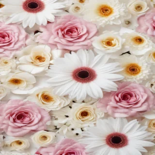 flowers with white background