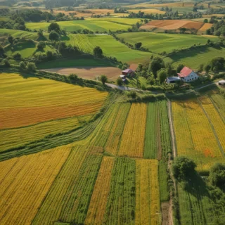 farmland png