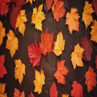 autumn leaves iphone wallpaper