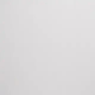 white background