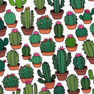 iphone cactus wallpaper