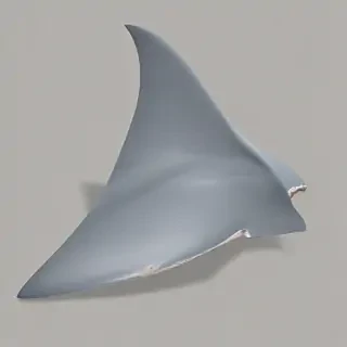 shark fin png