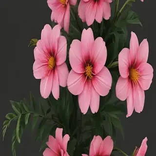 aesthetic flower png