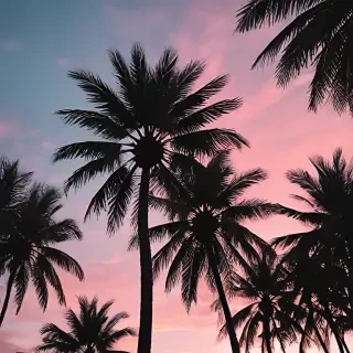 aesthetic palm tree wallpaper