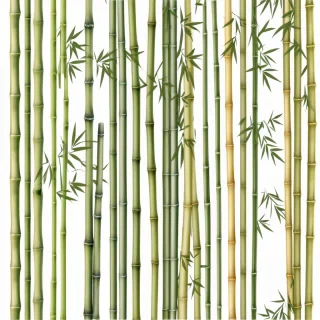 bamboo png