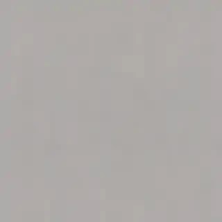 plain grey background