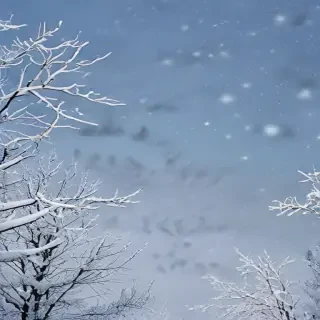 snow iphone background