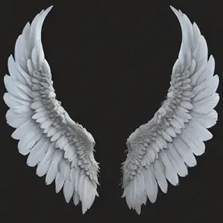 png angel wings