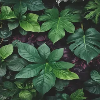 plants background iphone