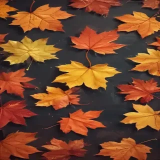 cute fall iphone wallpaper