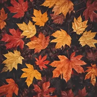 autumn iphone wallpaper