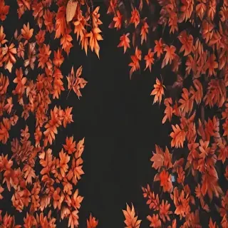 fall aesthetic wallpaper iphone
