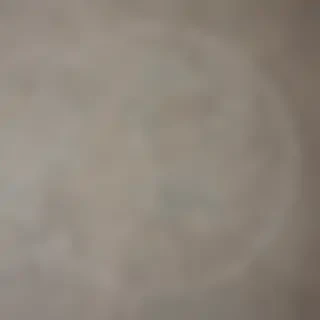 circle iamge